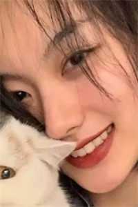 开局挽回老婆，他投身商界重启人生全文