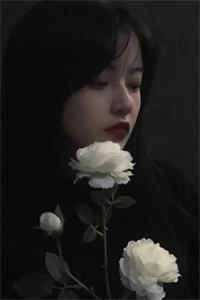 身为主角我除了女帝老婆一无所有小说
