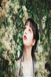 我死后病娇太子黑化了