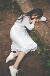 宏图美人志