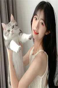 医婿无双
