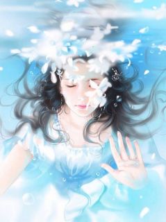 掌上雪花全章节阅读