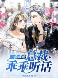 新婚妻子的密谋优质全文阅读