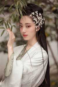 一把美人扇精品