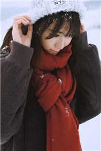 全本小说风雪无尽相思情