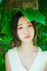 放血充公？五岁小奶包在虐文剧情里炸毛了长篇小说阅读
