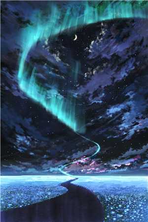 爱如昙花易逝文章全文