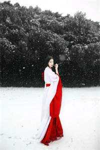 全文阅读我干婚庆这些年