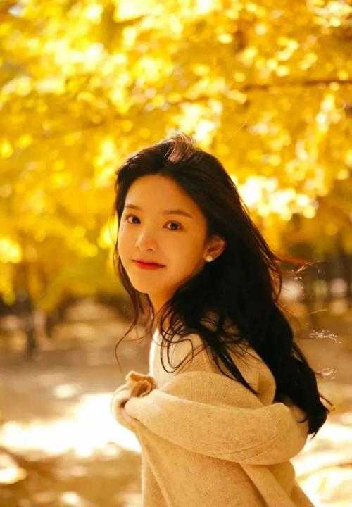 雪落的声音林芷沈白小说