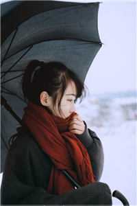 情散缘灭，你我绝然完结版小说苏宸江雨柔