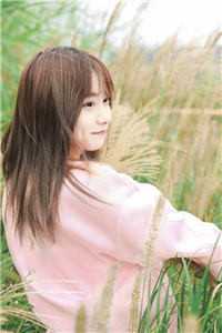 要离婚你高冷，再婚又发疯？优质全文阅读