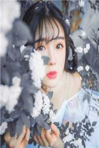 明月不再聆轻语全文小说宋临舟林轻语最新章节