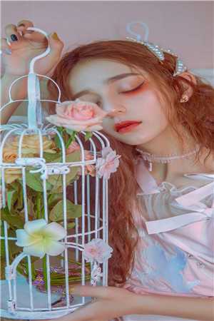 权倾美人香无删减全文