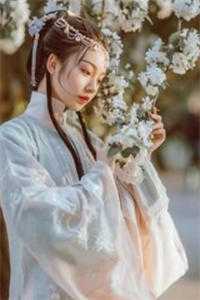 那年的茶那年的桃花糕