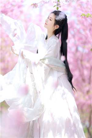 官途风云李福海宋观潮