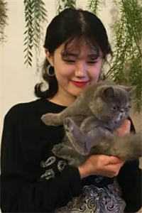 情难许爱亦难逢江言序宋晴欢