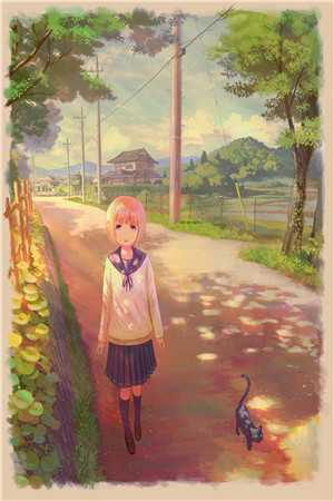江宴修夏南絮写的小说我的心在他胸腔跳动