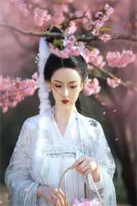 第三年