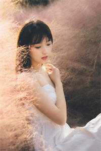 可惜彩云绕梦间by徐莫庭段弥月