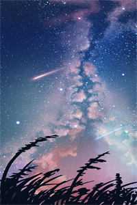 流年落尽空白首(向婉宁谢清音)
