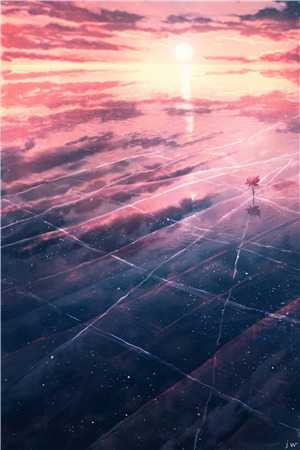 云本无心风起意C400