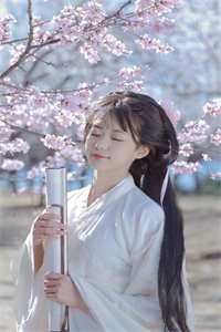 逼我替嫁妖族后，神君继兄悔疯了