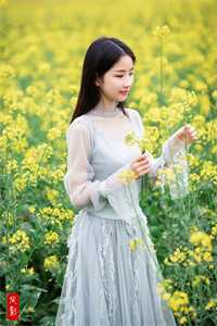 宁司寒林妩写的小说黑莲花驾到，不想谈情只想晋升