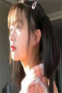 鸟有归巢，我无归途
