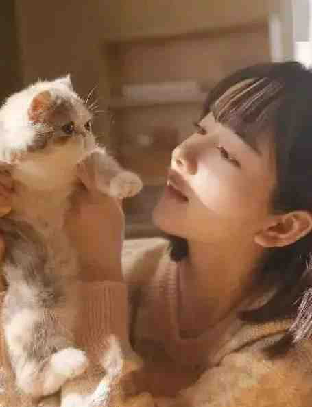 清月莫悔
