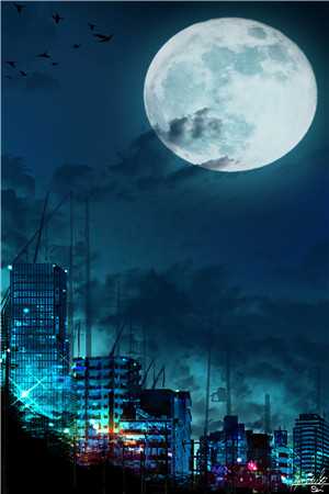 繁星跌落无你的夜