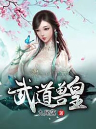 宸清传
