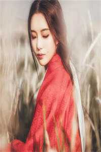 小说小龙幸福人生郑小龙韩若妍
