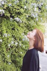祝君好免费试读