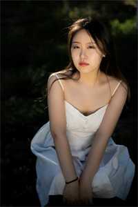 离婚后,前夫秒变舔狗精选小说