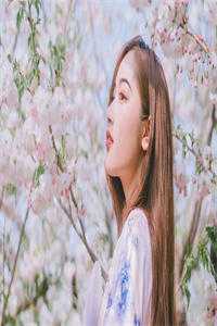 全文章节重生到87年，老婆绝美女儿萌