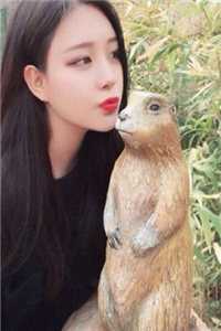 全集甄嬛传之妙手丹青
