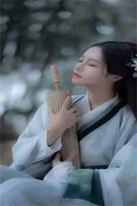 爱，升起在达赉湖畔阅读全集