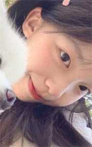 全集阅读神医王妃要休夫
