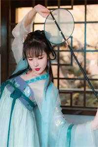 重生后，侯门夫人假死嫁权王全集阅读