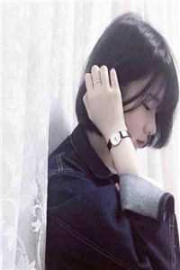 寒门废婿小说
