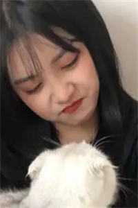 假太监：又是被女帝赐死的一天全集