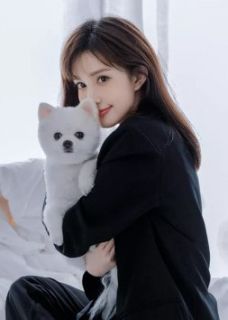 契约闪婚：司少追妻火葬场全集
