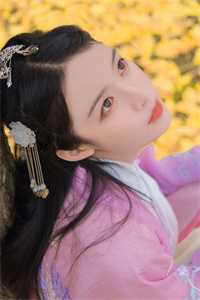 臣迷小说全集