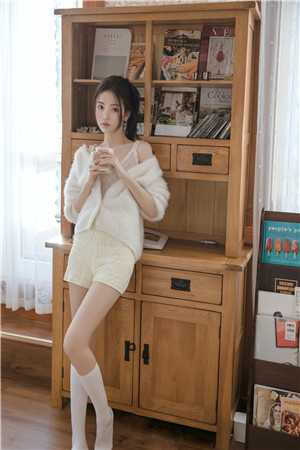 小说全集商海女婿