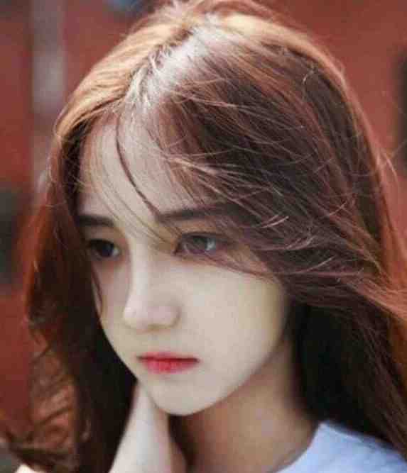 无双上将全集小说