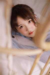 冉森文陆鸣全集小说