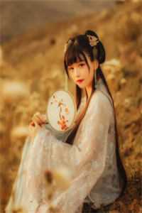 小说全集乡村医圣