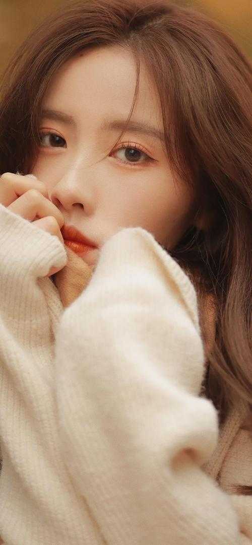 姜晚陆宴小说全集