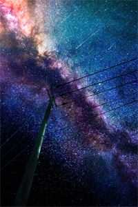 贵妃清冷，圣上夜夜相思阅读全集