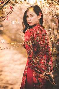 全文阅读主妇救赎指南